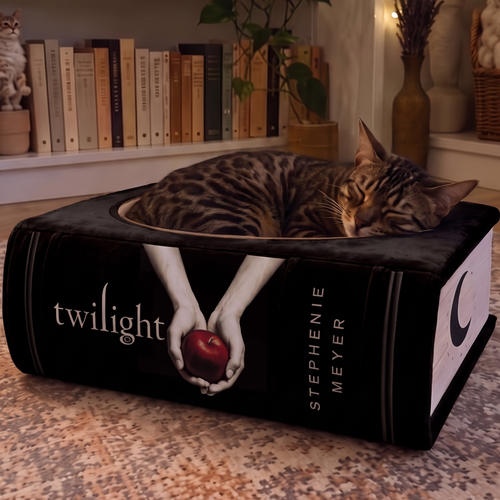 Book-Shaped Cat Bed