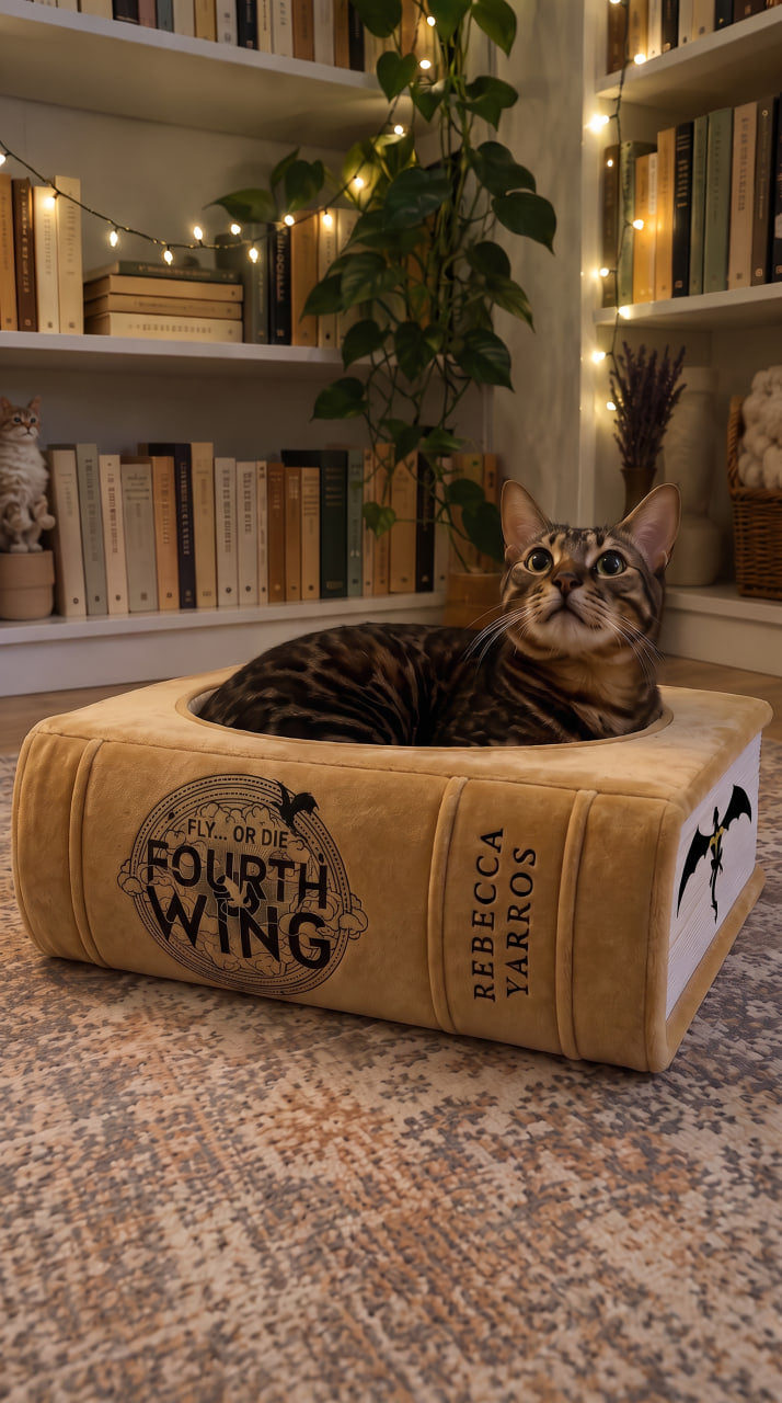 Fourth Wing